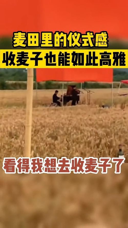 麦田房产不包吃怎么搞