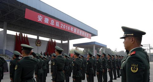 当兵父母怎么分房产