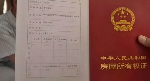 拆迁没有户口怎么分房产