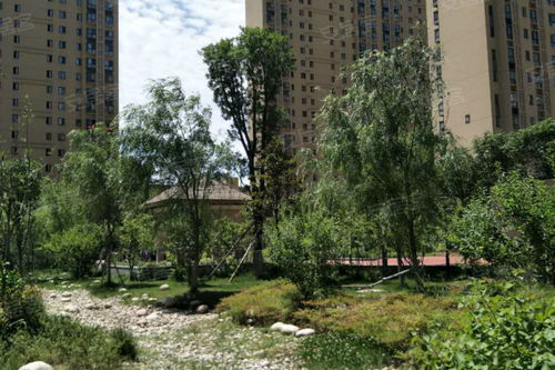 房产中介怎么做蛋糕