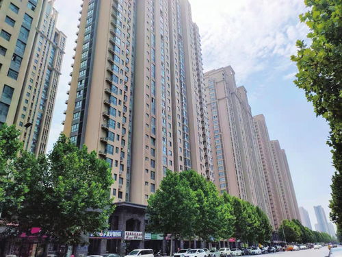 郑州中硕房产怎么样