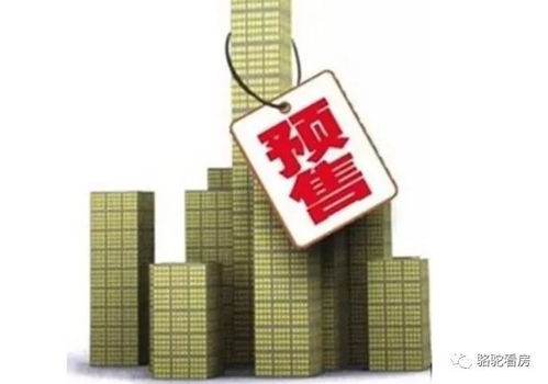 房产销售公司怎么成立的