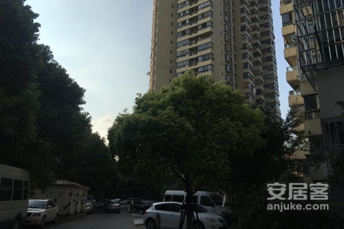 松滋万联房产绿化怎么样