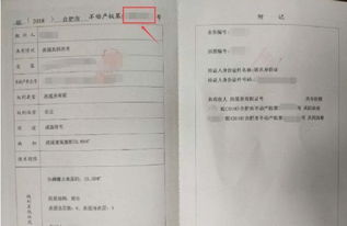 房产证号怎么填