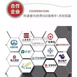 房产的账号怎么运营