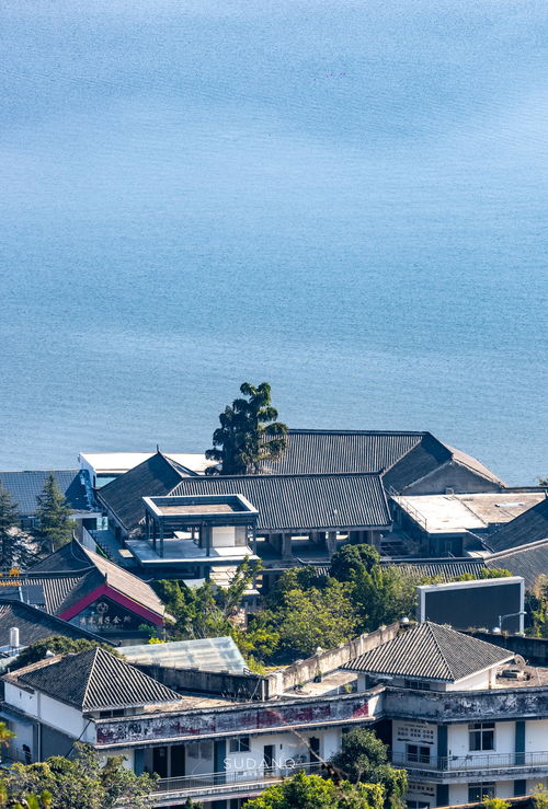 西昌房产怎么那么高