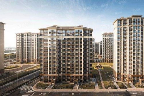 苏州涉外房产中介怎么样
