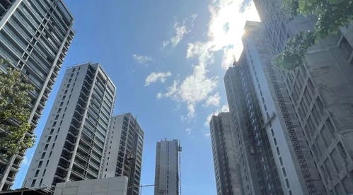 温州房产怎么查