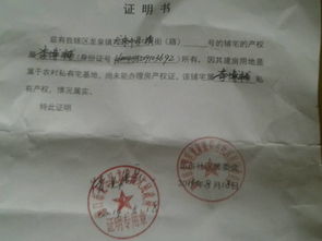 没有房产要怎么证明自己