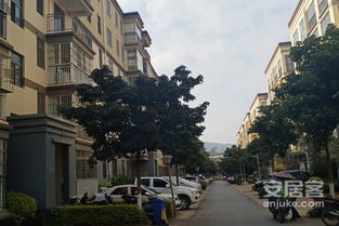 龙川房产怎么样