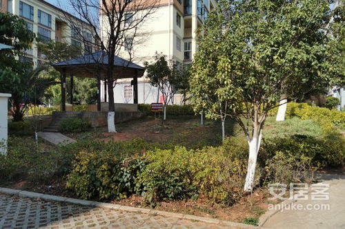龙川房产怎么样