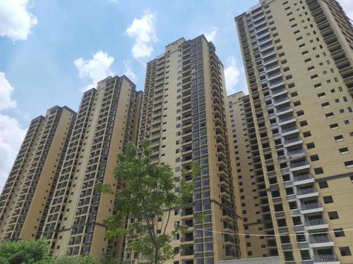 湛江怎么查房产资料