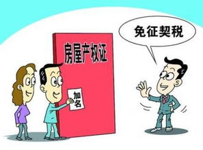 房产契税怎么让男生