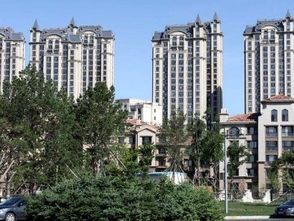 新房怎么查房产