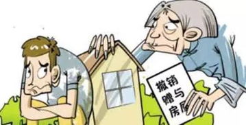 房产赠与后怎么分割