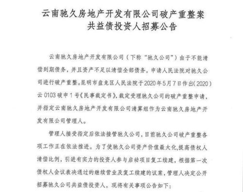 怎么申请重整房产