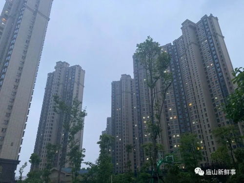 房产小区怎么拍视频