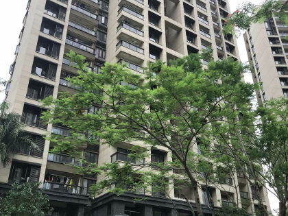 东莞入户地址房产怎么填