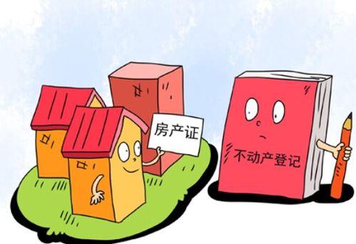 房产共有怎么落户
