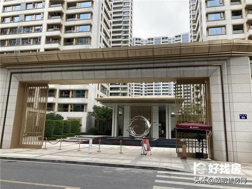 房产意难平怎么拍