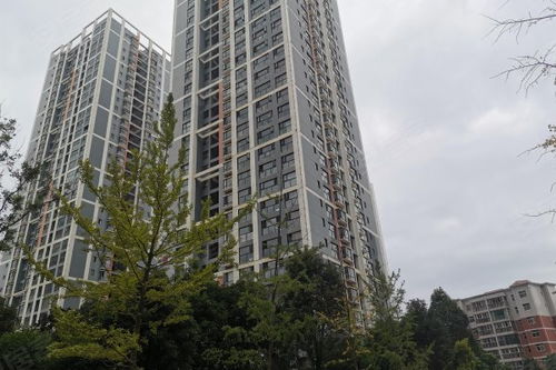 邯郸天怡房产怎么样