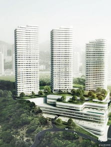 重庆垃圾房产怎么处理