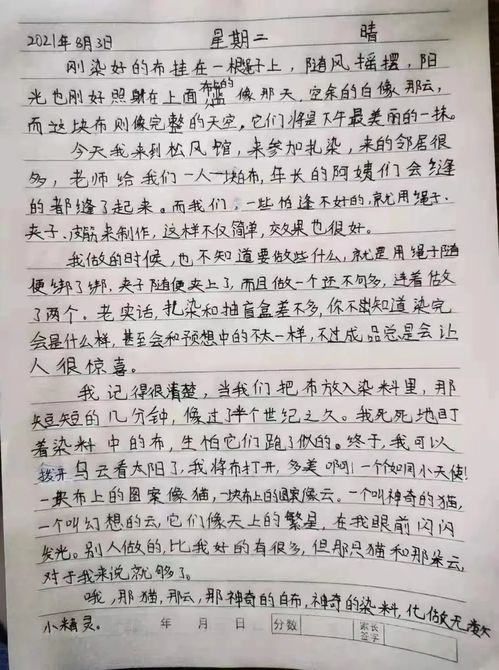 房产安家日记怎么写