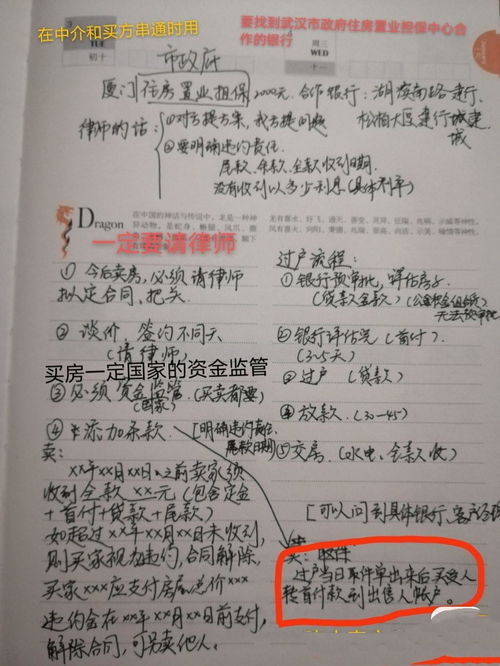 房产安家日记怎么写