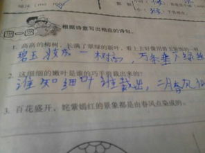 诗意房产标题怎么写