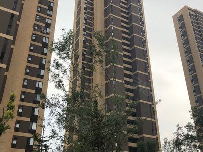 沈阳房产和平房产怎么样
