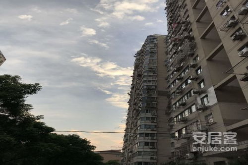 鑫隆房产怎么样