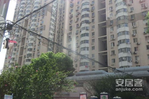 鑫隆房产怎么样
