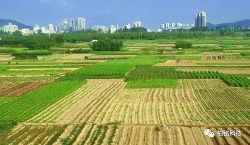农村土地怎么变成房产