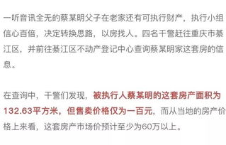 房产被执行怎么查