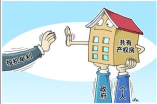 房产共有 怎么入学