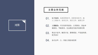 房产项目怎么写啊