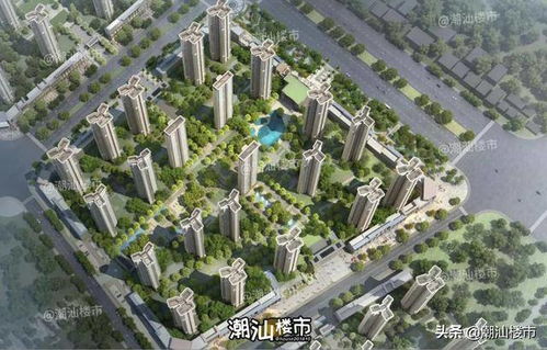 揭阳房产怎么查