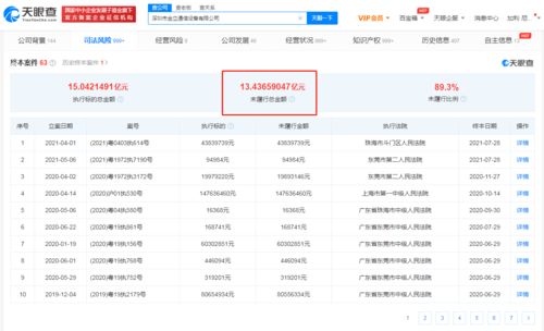 名下有5套房产怎么办
