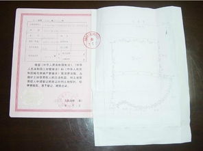 怎么查房产公司的五证