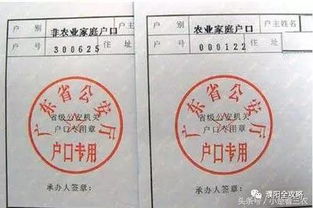 怎么查房产户口