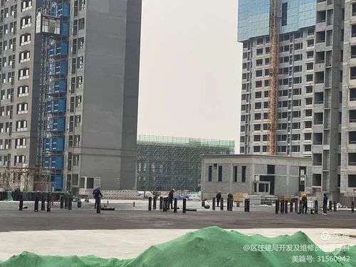 山东怎么查房产