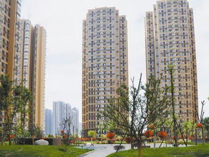 怎么查房产的建设方向