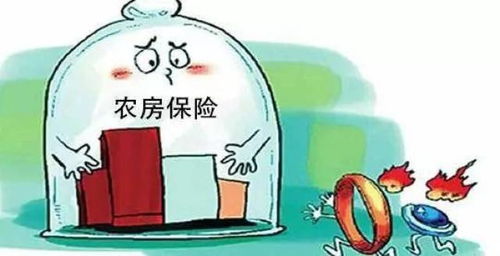 房产保险怎么上交的