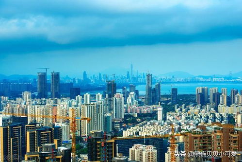 房产楼市观察怎么写