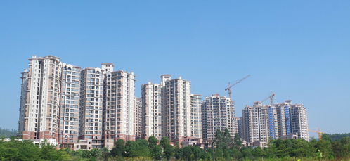 房子买卖法院怎么查房产