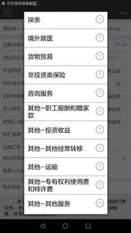 其他房产说明怎么填写