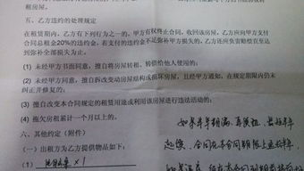 房产违约合同怎么写