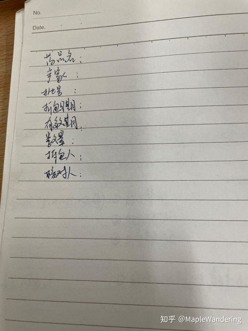 小强房产日记怎么写