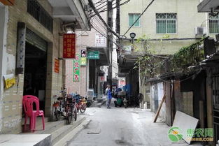 农村多处房产怎么处理