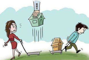儿子回家分房产怎么分
